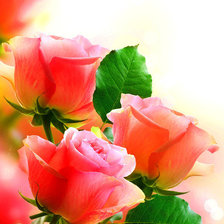 Схема вышивки «розочки»