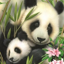 Схема вышивки «Панда с детенышем»