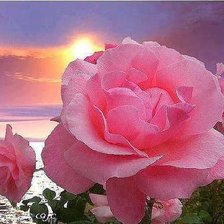 Схема вышивки «№570715»