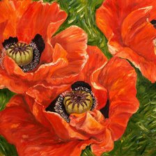 Схема вышивки «Красные маки»