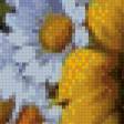 Предпросмотр схемы вышивки «Ромашки и подсолнухи» (№570778)