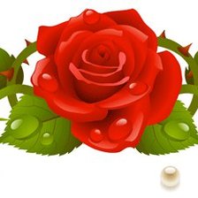 Схема вышивки «розарий»