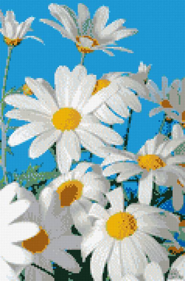 ромашка - предпросмотр