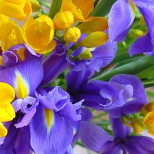 Схема вышивки «Весенние цветы»