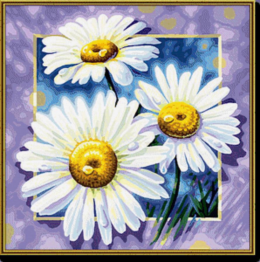 Ромашки - цветы, ромашки, подушка - предпросмотр