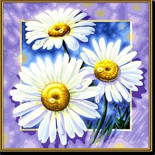 Схема вышивки «Ромашки»