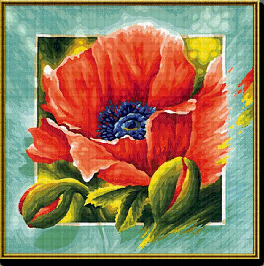 Мак - маки, цветы, подушка, живопись - предпросмотр