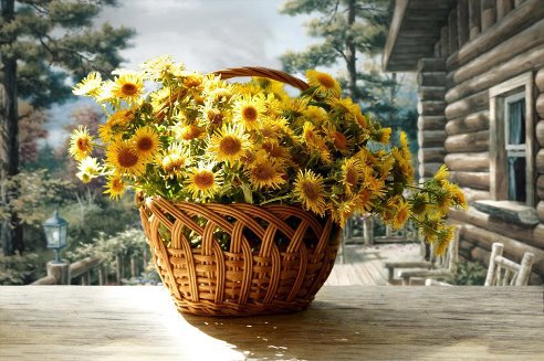 цветы - деревня, пейзаж, цветы, природа - оригинал