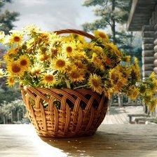 Схема вышивки «цветы»