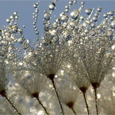 Схема вышивки «роса»