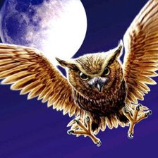 Схема вышивки «№570950»