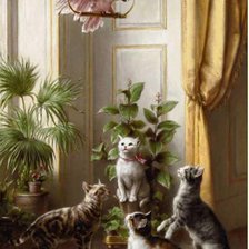 Схема вышивки «Коты и какаду»