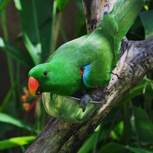 Схема вышивки «зелёненький»