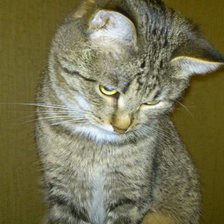 Схема вышивки «1»