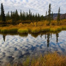 Схема вышивки «пейзаж»