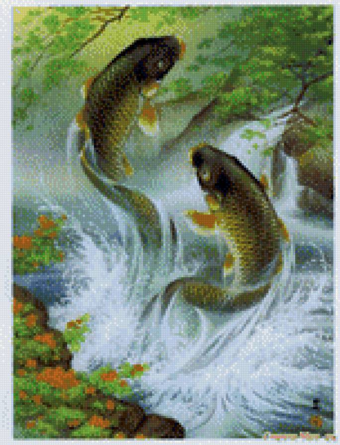 два карпа - предпросмотр