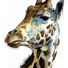 Схема вышивки «акварель»