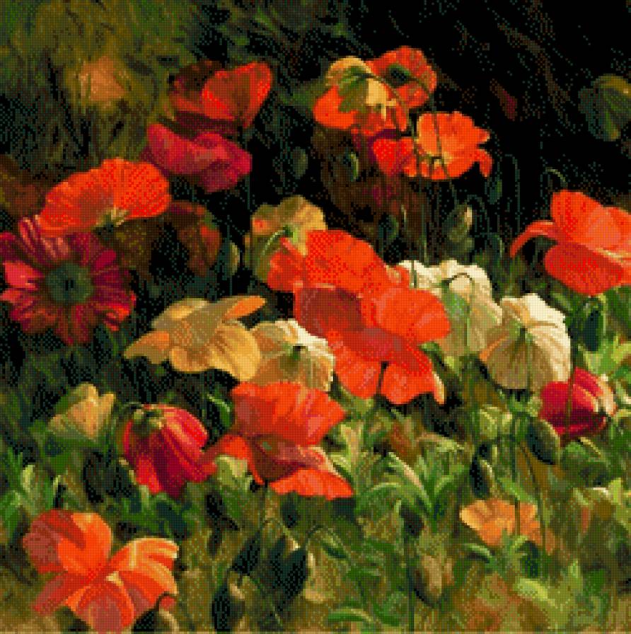 Leon Roulette-Maki - kwiaty, ziwopis, maki - предпросмотр