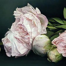 Схема вышивки «цветы»