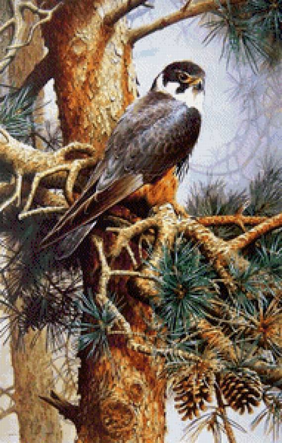 картина - картина птицы - предпросмотр