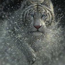 Схема вышивки «№571580»