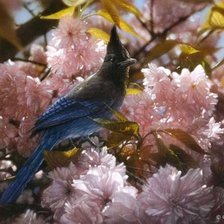 Схема вышивки «№571604»