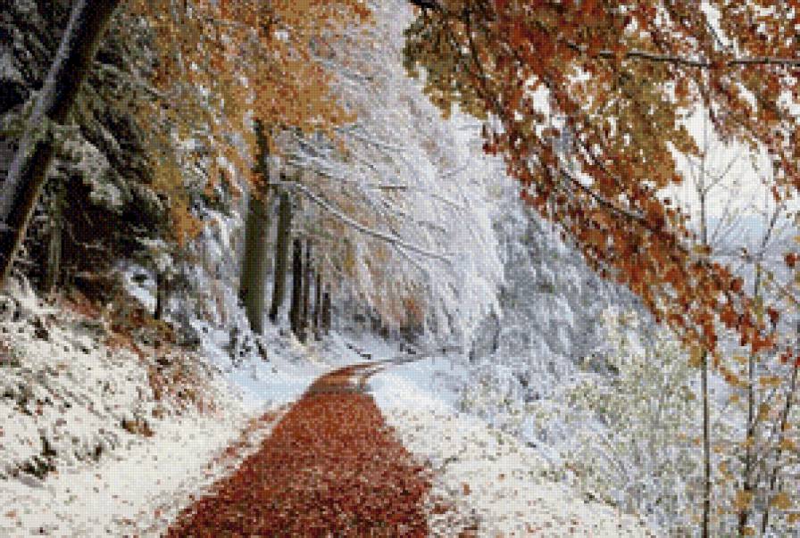 морозная осень - природа, зима, пейзаж, осень - предпросмотр