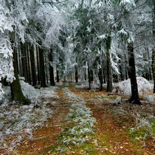 Схема вышивки «морозная осень»