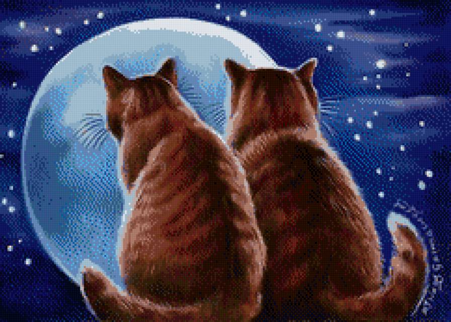 влюбленные коты - предпросмотр