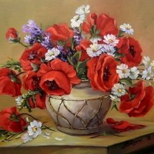 Маки и ромашки