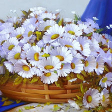 Схема вышивки «Ромашки»