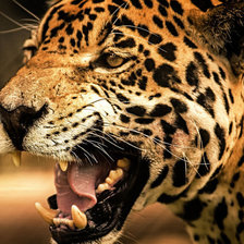 Схема вышивки «леопард»