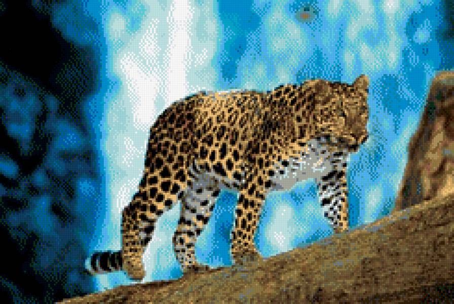 леопард - леопард, вода - предпросмотр