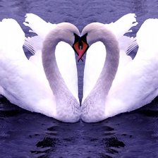 Схема вышивки «лебединная свадьба»