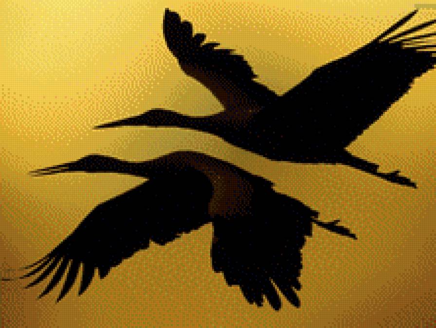 аист - птица, аист - предпросмотр