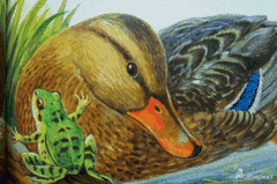 Подружимся - лягушка, утка - предпросмотр