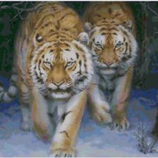 Схема вышивки «№572125»