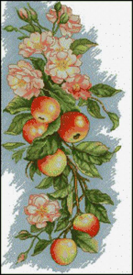 яблоки - яблоки, лето - предпросмотр