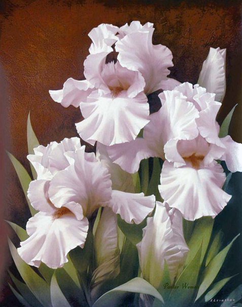 ирисы - цветы - оригинал