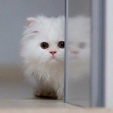 Схема вышивки «№572287»