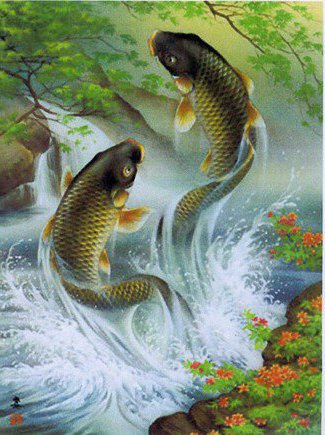 рыба - рыба - оригинал