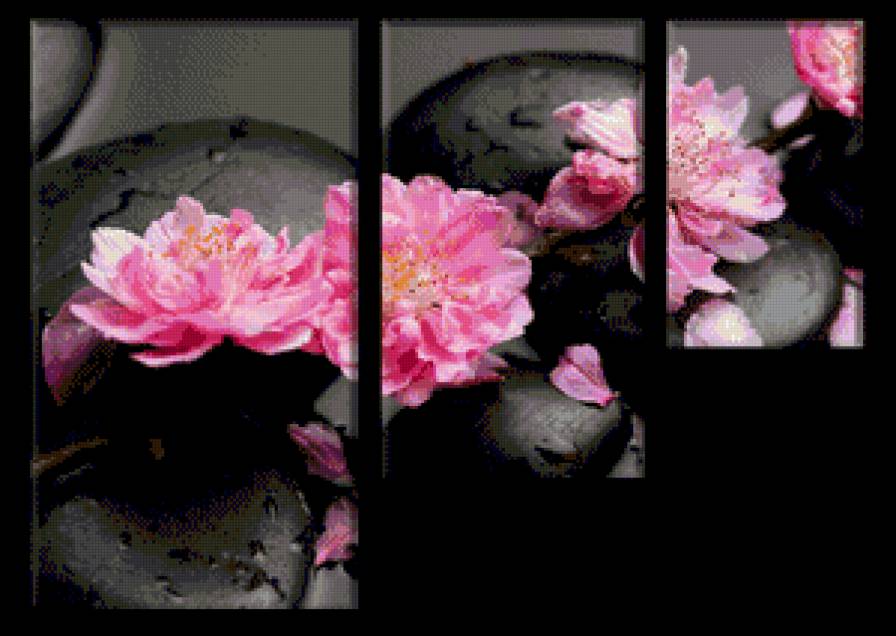 триптих на черном - цветы, триптих, на черном - предпросмотр