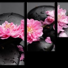 Схема вышивки «триптих на черном»