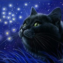 Схема вышивки «№572434»