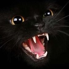 Схема вышивки «киса»