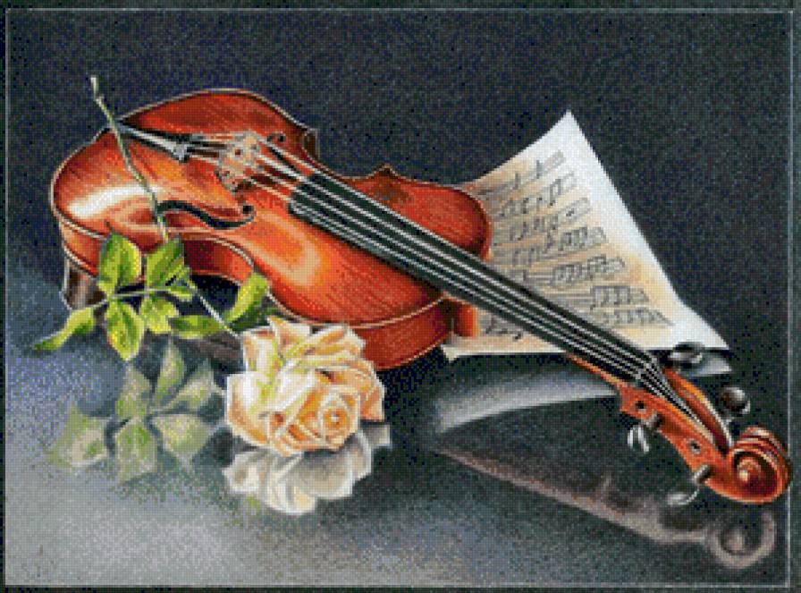 Скрипка - роза, скрипка - предпросмотр