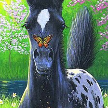 Схема вышивки «Жеребёнок с бабочкой»