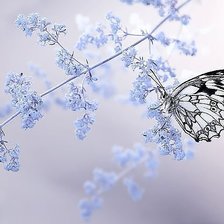 Схема вышивки «бабочка»