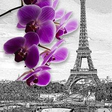 Схема вышивки «Париж»