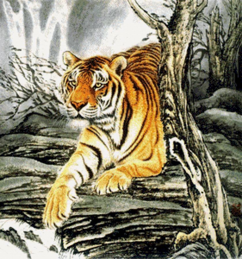 Тигр - хищник, животные, кошка - предпросмотр